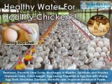 Eco Water Conditioner for Poultry Farms