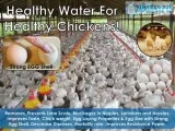 Eco Water Conditioner for Poultry Farms