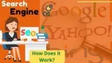 What is Search engine in SEO
