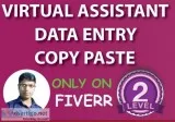 Virtual Assistant Expert