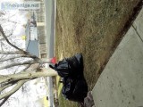 Cleanups for Pre-Spring Weed and Leaf Removal