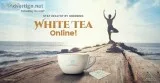 Buy Exotic White Gold Tea to Enjoy the Richness of Taste and Hea