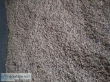 Fresh Worm Castings in Saint Cloud FL