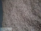 Fresh Worm Castings in Saint Cloud FL