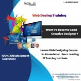 Are you willing to pursue your career in the field of web design