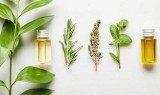 Certified Organic Specialty Products