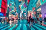 Find Tokyo Cherry Blossom Tour Summary at Tokyo Escapes