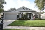 Hone for rent