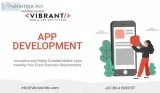 website development company in Bangalore - vibrant