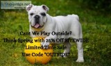 Save 25% off by Blooming tails Dog Boutique