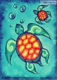 Folsom Studio 48 Sea Turtles  SUPER SPECIAL  10 Off Ages 21 and 