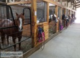 Pony Rides at Open Barn