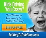 &ldquoTalking To Toddlers&rdquo  My audio course Free class