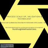 Process scale up training