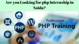 Best PHP Training Institute in Noida