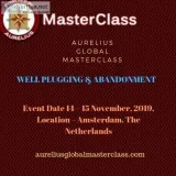 WELL PLUGGING  TRAINING  in Amsterdam