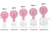 Buy High Quality 5 Sizes Medical Glass and Rubber Vacuum Suction