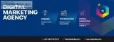 Top SEO Company in Mumbai