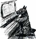 Muscatine Iowa Piano Tuning