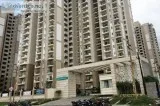 Ready to move flats in The Golden Palms. 9266850850