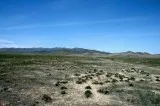 40 Acres for Sale in Winnemucca NV
