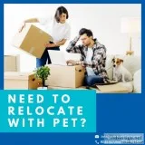 Looking for International Relocation service Contact RightStar R