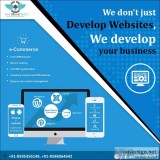 Website Development in Delhi