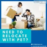 Get in touch with PMRGO for Domestic Vehicle shifting service