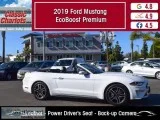 Used 2019 Ford Mustang EcoBoost Premium for Sale in San Diego - 