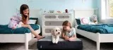 Premium pet bed