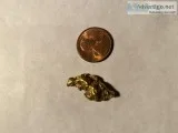 Alaskan Gold Nugget