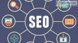 SEO Expert India
