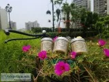 Natural Beeswax Candles in India  Yoursbeeloved