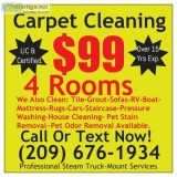 TILECARPET CLEANING STEAM TRUCK MOUNT-FURNITURE RV- ROOM 25
