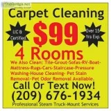 TILECARPET CLEANING STEAM TRUCK MOUNT-FURNITURE RV- ROOM 25