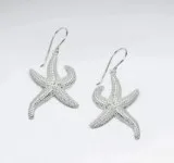 Sterling Silver Earrings for Women  RoanoCollection.com