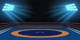 Wrestling Mats Supplier India