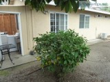 Excellent Room with Private Bath in N. San Jose