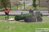 Professionals of Tree and Stump Removal in Sydney
