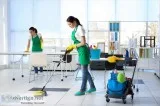 Carpet Cleaning Haringey
