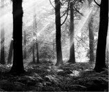 Digital mini-Novel Testament of the Bible Pathos