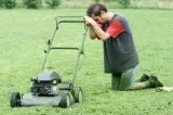 Indianapolis Lawn Mowing and Grass Cutting Service