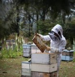 Buy Natural Honey in Ranchi  Sprihaat.com