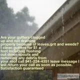 Gutter Cleaning