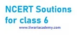 Find the Latest NCERT Solutions for class 6