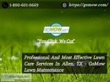 Professional And Most Effective Lawn Care Services In Allen TX -