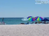 On the Beach of Longboat Key FL