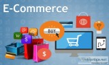ecommerce website development  ecommerce website development com