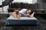 Dozer bedding for dog