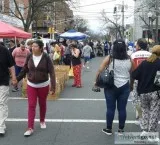 Botany Village Street Fair